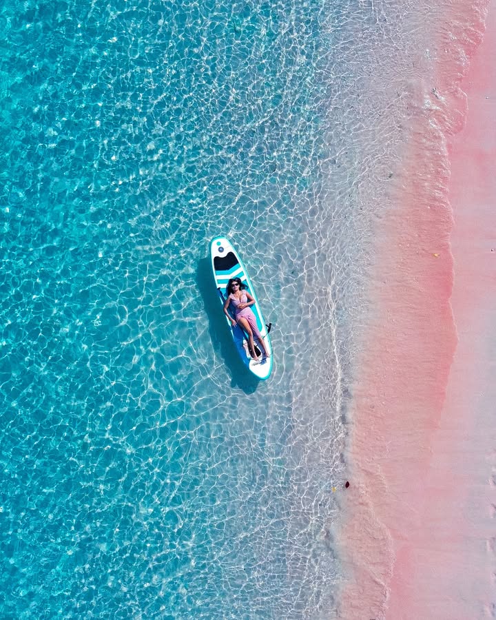 SUNTRAVEL TRIP ID